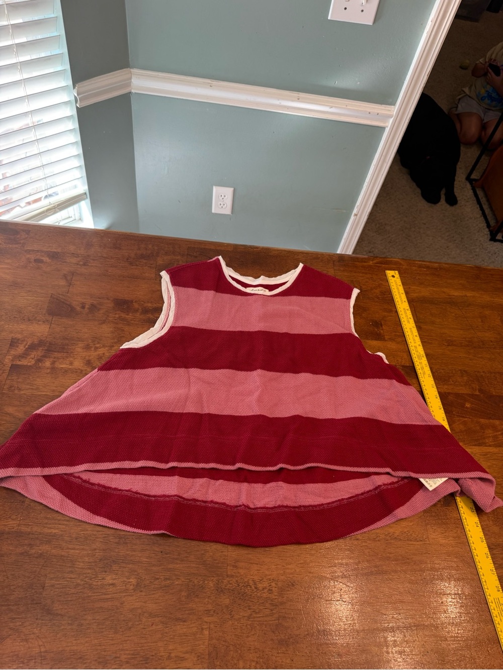 We The Free Free People Walcott Sleeveless Sweatshirt Stripe Pink Combo XS